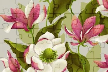 Magnolia Bloom