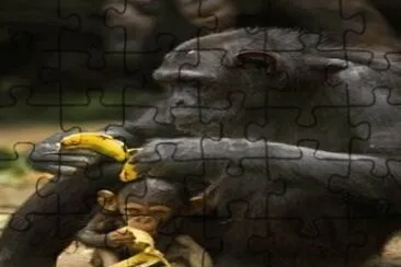 - belo,(og) jigsaw puzzle