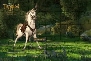 horse maximus