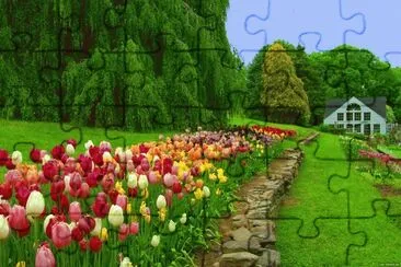 casa jigsaw puzzle