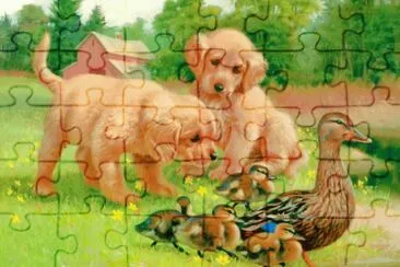dog