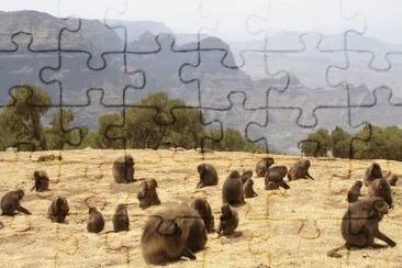 ETIOPIA jigsaw puzzle