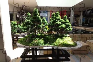 BONSAI jigsaw puzzle