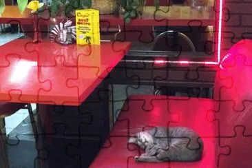 Gato Dorminhoco jigsaw puzzle