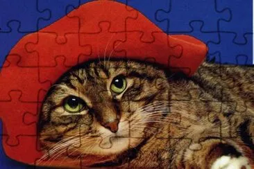 gatet jigsaw puzzle