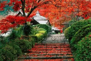 919 PAISAJES_HERMOSOS2[1].jpg