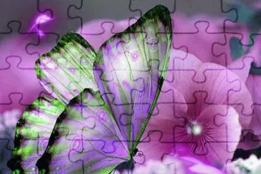 Flower and Butterfly