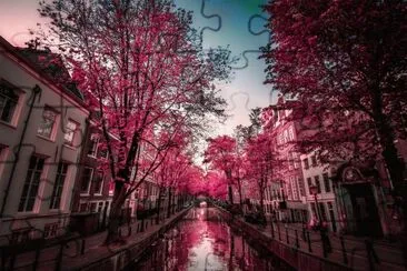 AMSTERDAM