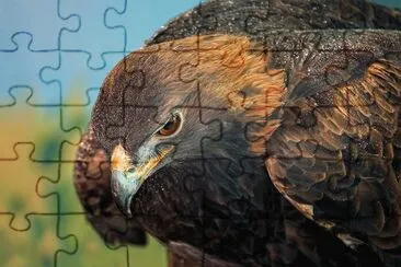 . jigsaw puzzle