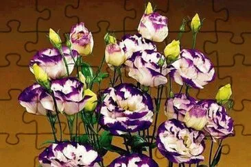 fleurs: lisianthus jigsaw puzzle