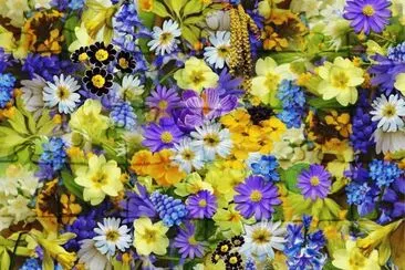 fleurs jigsaw puzzle
