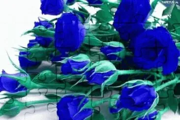 fleurs: roses jigsaw puzzle