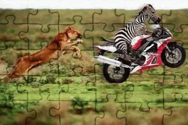 ALCÃNZAME SI PUEDES... jigsaw puzzle