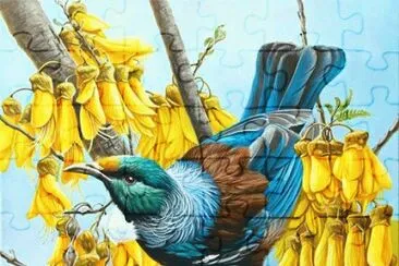 Tui in Gold  ( Kingfisher ) by  Craig Platt