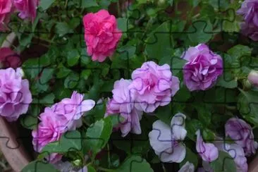 Muchas florcitas jigsaw puzzle