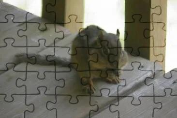 Hoover the chipmunk