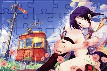  jigsaw puzzle