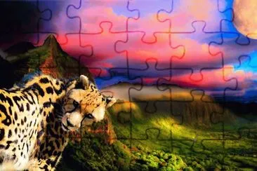onÃ§a jigsaw puzzle
