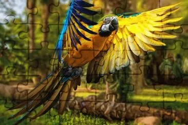 arara jigsaw puzzle
