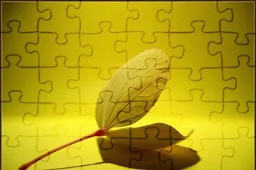 1 jigsaw puzzle