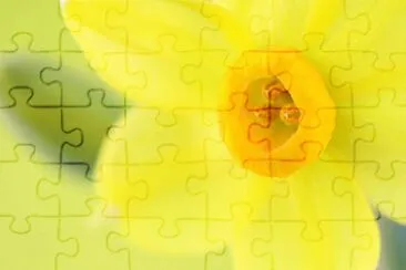 5 jigsaw puzzle