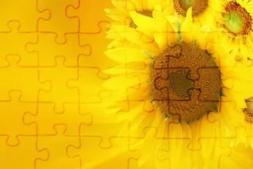 6 jigsaw puzzle