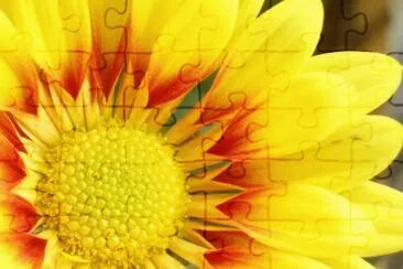 8 jigsaw puzzle