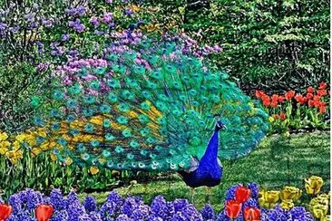PAVO REAL Y FLORES. jigsaw puzzle