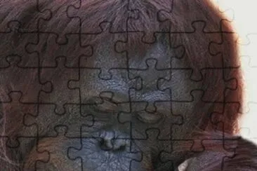 - te amo muito! jigsaw puzzle