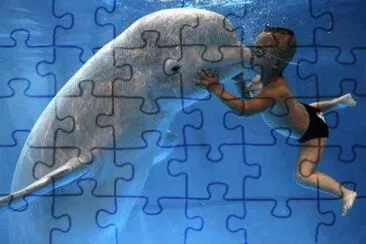 beluga et enfant jigsaw puzzle