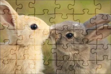 lapins