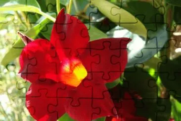 fleur jigsaw puzzle