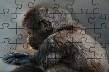 - macaquinho jigsaw puzzle