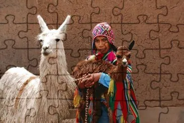 Peru Llama