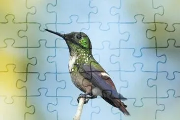 TOPETINHO VERDE. jigsaw puzzle