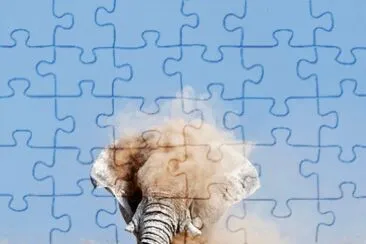 elefante, 4 metros de altura, mais 4 t. de peso jigsaw puzzle