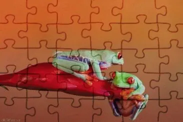 RANITAS. jigsaw puzzle