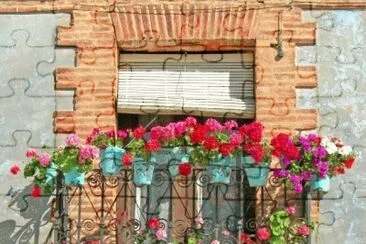 flores y macetas