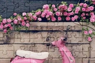 Old pink Vespa scooter