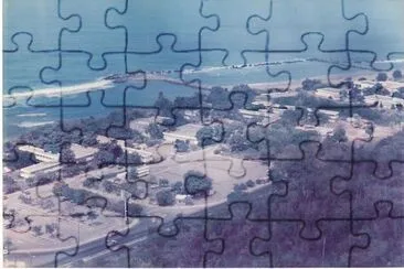 N.E.F.A.P CAMURI-CHICO VENEZUELA jigsaw puzzle