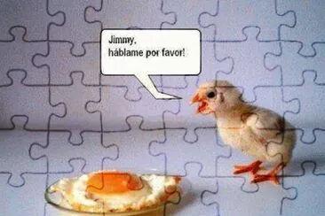 JIMMY, HUMOR NEGRO...