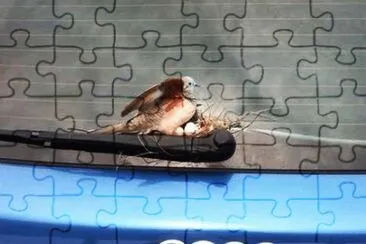 motorhome jigsaw puzzle