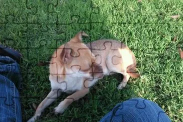 MI COCO jigsaw puzzle
