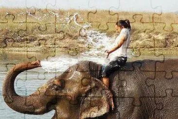 femme et Ã©lÃ©phant