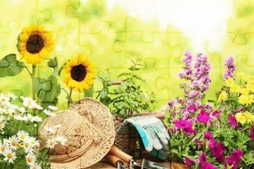 Flors