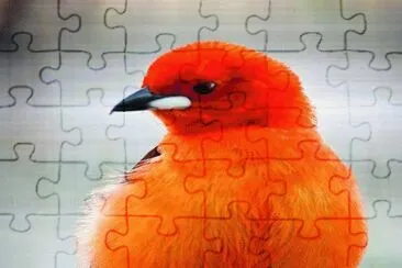 . jigsaw puzzle