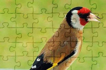 . jigsaw puzzle