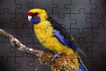 . jigsaw puzzle