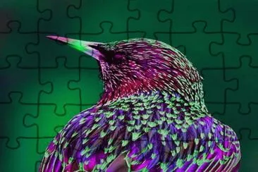 . jigsaw puzzle
