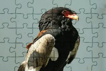 . jigsaw puzzle